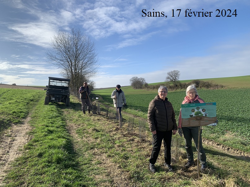 Lire la suite à propos de l’article Plantation d’arbres