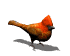 Comptage des oiseaux des jardins