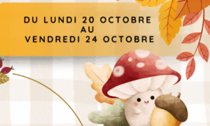 Lire la suite à propos de l’article Accueil de loisirs : vacances d’Octobre 2025
